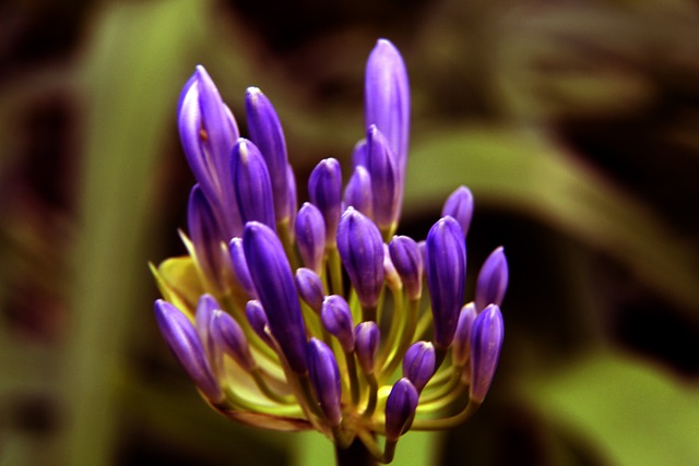 湖人半场高效，两项命中率均超5成，两队狂轰16记三分