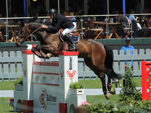 官方：英格兰名哨安东尼-泰勒将执法欧冠第4轮布鲁日vs巴萨