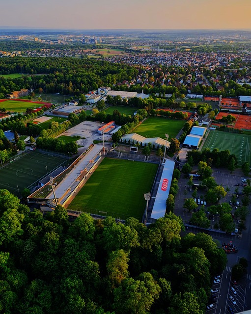 在足球世界 在足球世界