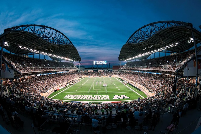 迷對中國足 迷對中國足