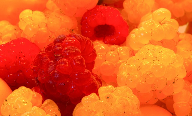 更是球迷们 更是球迷们