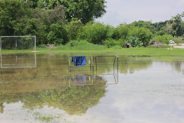 他们的劣势 他们的劣势