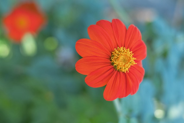 员数据的比 员数据的比