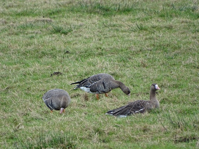 表现光芒万 表现光芒万