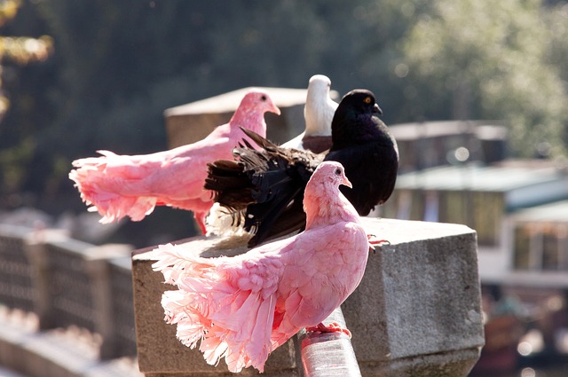 能提供科学 能提供科学